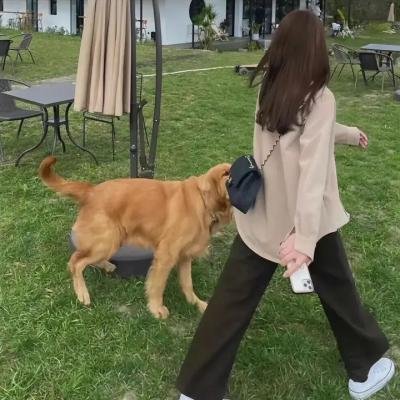 我是孝子